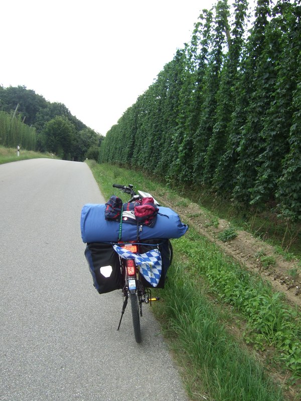 In der Holledau