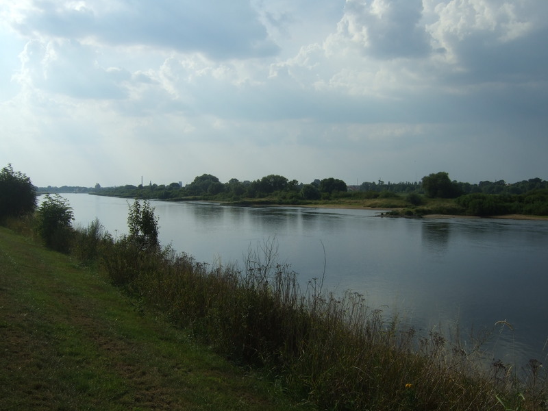 Die Elbe bei Wittenberg