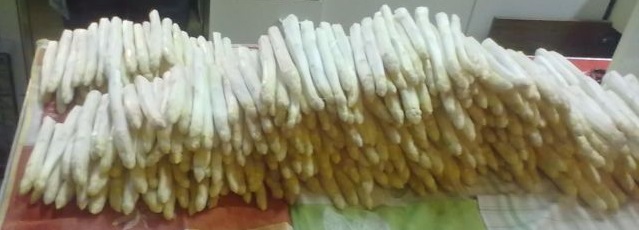 Ein riesiger Haufen Spargel! Ein riesiger Haufen Spargel!